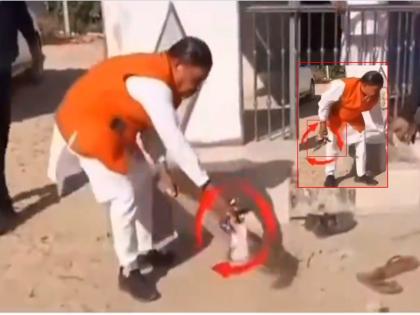 Hand trashed, cleaned again; Video of BJP MLA of Gujrat goes viral, ncp share video | हाताने कचरा खाली टाकला, पुन्हा केली स्वच्छता; भाजपा आमदाराचा व्हिडिओ व्हायरल