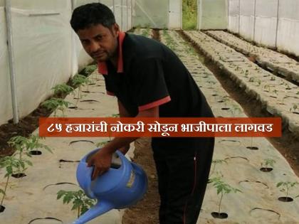 Inspirational! After leaving his job as an engineer, he reached the village; He earns thousands from vegetable cultivation | प्रेरणादायी! ८५ हजाराची नोकरी सोडून इंजिनिअर करतोय शेती; हजारो रुपयांची भाजी पिकवतेय गावची माती