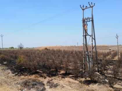 As the jump broke, sparks fell and burnt two acres of pomegranate orchard | दोन एकर डाळिंबाची बाग जळून खाक; शेतकऱ्याचे ६ लाख रुपयांचे नुकसान 