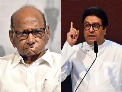 Sharad Pawar's hard-hitting remark on Raj Thackeray's criticism after ajit pawar, caused laughter among the journalists | राज ठाकरेंच्या टीकेवर शरद पवारांचा मिश्कील टोला, पत्रकारांमध्ये हशा पिकला