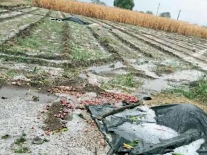 Six killed by lightning, hailstorm in Khandesh | वीज पडून सहा ठार, खान्देशात गारांचा मारा