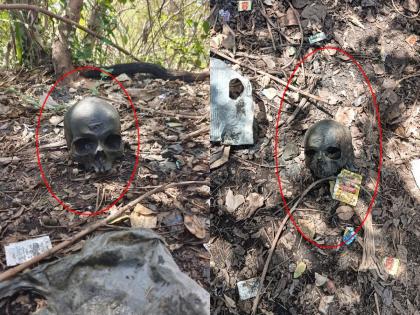 Human skull found while cleaning a well; Police are investigating in nalasopara | विहीर साफ करताना सापडली मानवी खोपडी; पोलिसांकडून तपास सुरू