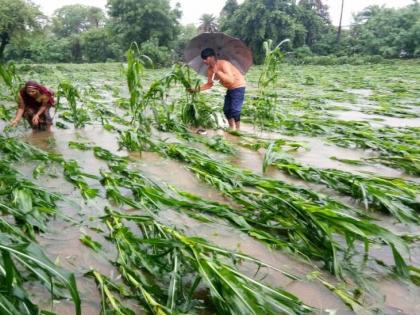 Give immediate relief to the farmers, resolution approved in the standing committee | शेतकऱ्यांना मदतीचा दिलासा तातडीने मदत द्या, स्थायी समितीत ठराव मंजूर