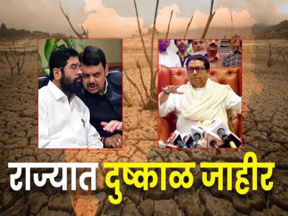 "Famine comes with heavy footsteps in farmers life"; should be re-inspected; MNS demanded for drought at government | "दुष्काळ दबक्या पावलांनी येतो, पुन्हा पाहणी करावी"; शेतकऱ्यांसाठी मनसेनं केली मागणी