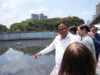 "Not satisfied with the drainage work in Mumbai, give the details of how much silt has been removed", Says Ashish Shelar | "मुंबईतील नालेसफाईच्या कामावर समाधान नाही, गाळ किती काढला तपशील द्या"