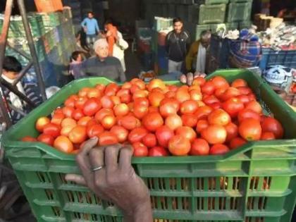 Thieves also eye tomatoes in Mumbai market committee | मुंबई बाजार समितीमधील टोमॅटोवरही चोरट्यांची नजर, सुरक्षा वाढवली