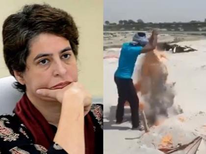 Shocking! ... This is an insult to the inhumanity of dead bodies, the video shared by Priyanka Gandhi | शॉकिंग ! ... हा तर मृतदेहांचा अन् माणूसकीचा अपमान, प्रियंका गांधींनी शेअर केला तो व्हिडिओ