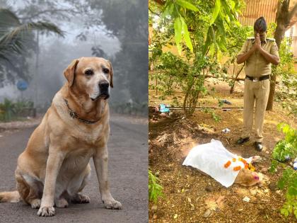 Exit of the Prime Minister, the Minister, the 'Marshals' who provide security to the temples | पंतप्रधानांसह, मंत्री, देवस्थानांना सुरक्षाकवच देणाऱ्या ‘मार्शल’ला अखेरचे वंदन