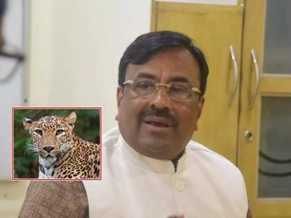 20 lakh financial assistance to the next of kin of those killed in wild animal attacks, Sudhir munguntivar | वन्य प्राण्यांच्या हल्ल्यातील मृतांच्या वारसांना आता 20 लाखांची आर्थिक मदत