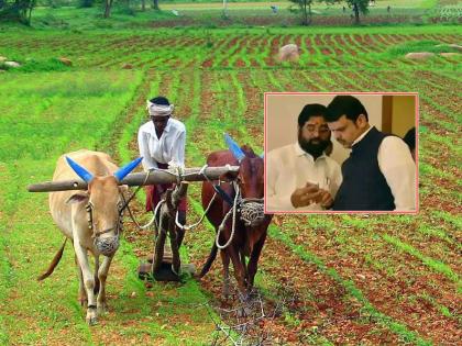 Good news... Shinde-Fadnavis government's 2 thousand directly in the account, know when the farmers will get | गुडन्यूज... शिंदे-फडणवीस सरकारचे 2 हजार थेट अकाऊंटमध्ये, शेतकऱ्यांना या महिन्यात लाभ