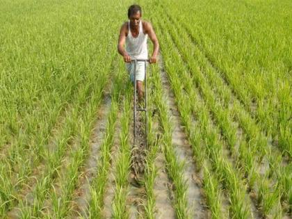 Pay 1,019 crores to farmers, otherwise be prepared for action | शेतकऱ्यांना १,०१९ कोटी द्या, अन्यथा कारवाईस तयार राहा