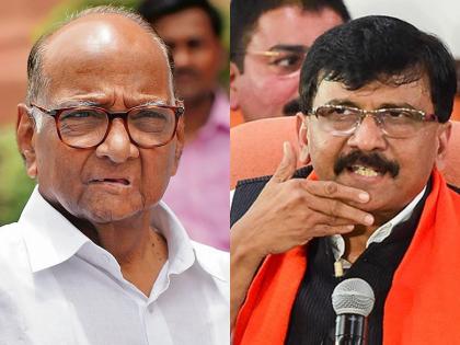 Sanjay Raut: In the name of Pawar, 'Bho' is sounded every day, MNS retaliates against Rauts | Sanjay Raut: पवारांच्या नावाने 'भॉ' करुन दररोज भोंगा वाजतो, मनसेचा राऊतांवर पलटवार