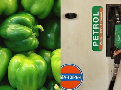 The price of chili; Expensive than petrol | मिरचीने खाल्ला भाव; पेट्रोलपेक्षा झाली महाग