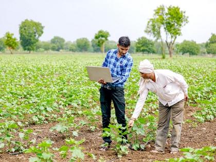 The cost for crop insurance is Rs 300; How much trouble for the rupee? | पीक विम्यासाठी खर्च ३०० रुपये; १ रुपयासाठी किती त्रास सोसायचा?