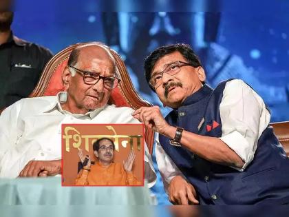 Rajyasabha: Chief Minister is not angry with Sharad Pawar, Sanjay Raut has clearly stated | Rajyasabha : शरद पवारांवर मुख्यमंत्री नाराज नाहीत, संजय राऊतांनी सांगितलं काय घडलं