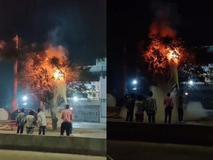 In Dombivli MIDC, high tension wire touched tree branch, tree caught fire | डोंबिवली एमआयडीसीत हायटेन्शन वायरला फांदी स्पर्श; झाडाला लागली आग