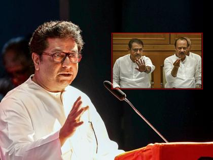 Doubt that Sharad Pawar is behind this rebellion, Raj Thackeray said 'Rajkarana' | या बंडामागे शरद पवार असण्याची शंका, राज ठाकरेंनी सांगितलं राज'कारण'