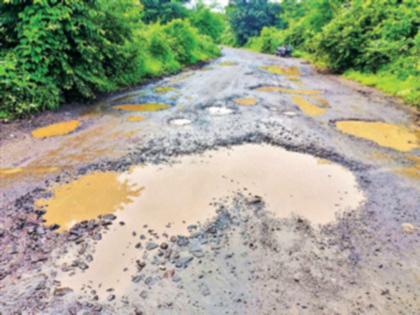 The asphalt on the road was washed away; Nalambi Marg has not been repaired in two years | रस्त्यावरील डांबर उखडून गेले वाहून; नालंबी मार्गाची दोन वर्षांत दुरुस्ती नाही