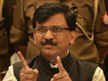 Sanjay Raut tweeted about the chicken, cock and shared a photo of the tiger | संजय राऊतांनी कोंबडीचं ट्विट करुन पुन्हा डिवचलं, वाघाचाही फोटो शेअर केला