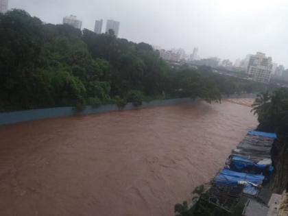 The fog of rain continues, flooding thousands of hectares of farmland in maharashtra pdc | पावसाचे धूमशान सुरूच, हजारो हेक्टर शेती पाण्याखाली