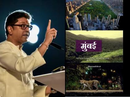 'We have entered the leopard's house', Raj Thackeray showed the terrible reality of Mumbai in video of forest | 'आपणच बिबट्याच्या घरात शिरलोय', राज ठाकरेंनी दाखवलं मुंबईचं भयाण वास्तव