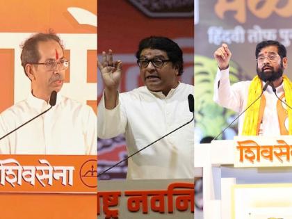 'It takes a 'tiger' like Raj Thackeray to speak academically', MNS's message from the meeting of dasara melava | 'अभ्यासपूर्ण बोलायला राज ठाकरेंसारखा 'वाघ' लागतो', मेळाव्यावरुन मनसेचा टोला