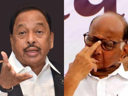 Narayan Rane : 'Pawar Saheb, look at the culture of the person who was made the Chief Minister, Rane on cm uddhav thackeray | Narayan Rane : पवारसाहेब, ज्याला मुख्यमंत्री केलं त्याचा संसस्कृतपणा बघा, राणेंनी वाचनच केलं