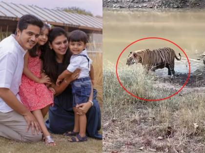 Rohit Pawar: Maharashtra is like that too, isn't it, Baba? Questions to Rohit Pawar's children after seeing a tiger in the forest | Rohit Pawar: महाराष्ट्रही असाच आहे ना बाबा? जंगलातील वाघ पाहून रोहित पवारांच्या मुलांना पडला प्रश्न