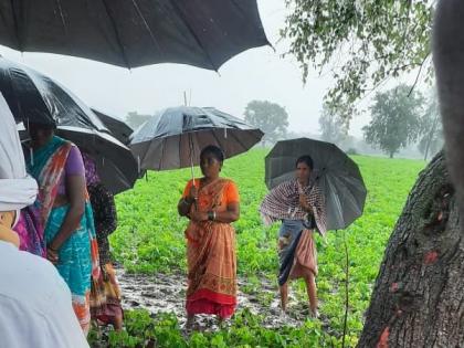 A farmer couple working in the forest was struck by lightning, the wife was killed on the spot and the husband was seriously injured in buldhana | रानात राबणाऱ्या शेतकरी दांपत्यावर वीज कोसळली; पत्नी जागीच ठार, पती गंभीर