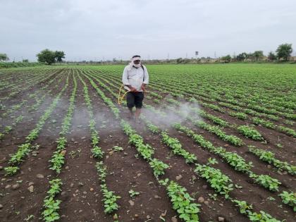 Farmers beware...every week two are poisoned by the spray in farming | शेतकऱ्यांनो सावधान...दर आठवड्याला दोघांना होते फवारणीतून विषबाधा