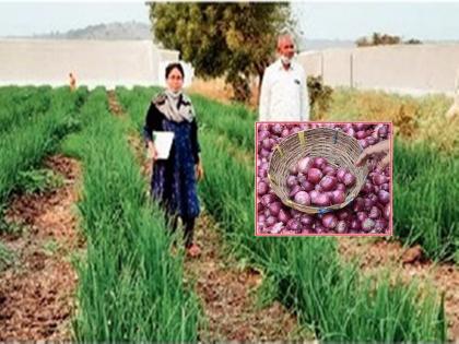 Shiwni pattern of onion in jalana, soybean farming, farmers are benefiting | कांदा, सोयाबीन शेतीचा शिवनी पॅटर्न, शेतकऱ्यांना होतोय चांगलाच फायदा