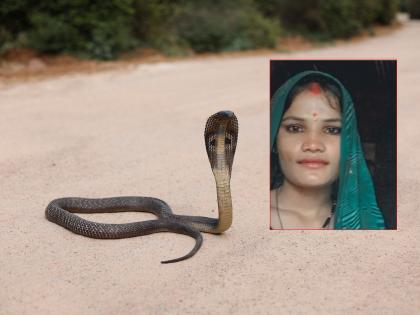 Pregnant woman died due to snakebite, baby also died in jalgaon | गर्भवती महिलेला सर्पदंश, रुग्णालयात जाण्यापूर्वीच मृत्यू