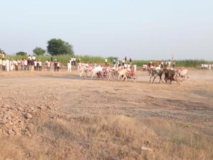 The first bullock cart race in sangli kavathe mahankal since the court lifted the ban | न्यायालयाने बंदी उठवल्यानंतर पहिलीच बैलगाडा शर्यत कवठेमहांकाळमध्ये