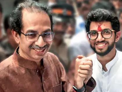 Arrey handed over 286 hectare land of to Forest Department, chief minister uddhav thackeray tweeted | अखेर 'आरे'ची 286 हेक्टर जागा वनविभागाकडे सुपूर्द, शिवसेनेनं करुन दाखवलं