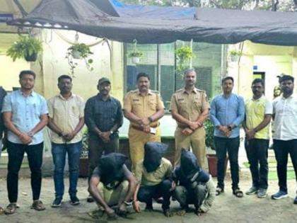 Gujarati gang arrested for burglary, theft; Two crimes were solved, Virar police succeeded | घरफोडी, चोरी करणाऱ्या गुजराती टोळीला अटक; दोन गुन्हे उघडकीस