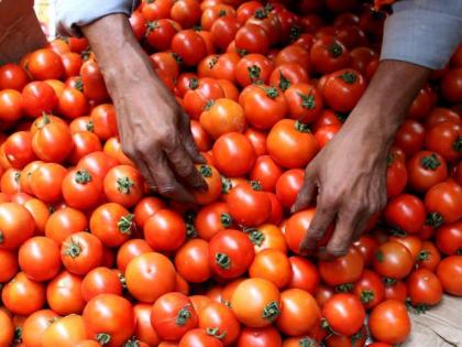 Tell me who is responsible, you or us? article on tomato | टोमॅटोने चांगलाच भाव खाल्लाय, सांगा कोण जबाबदार, तुम्ही की आम्ही?