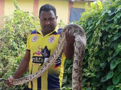 A nine-foot long python found in a container warehouse in Chirner | चिरनेरमधील कंटेनरच्या गोदामात आढळला नऊ फुट लांबीचा अजगर