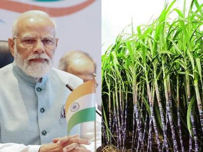 Big decision for sugarcane farmers, Center government hikes MSP rate | ऊस उत्पादक शेतकऱ्यांसाठी मोठा निर्णय, केंद्राने MSP दरात केली वाढ