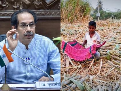 Uddhav Thackeray: 'Books in hand instead of scythe, 20 hostels for children of sugarcane workers', CM Uddhav Thackeray | Uddhav Thackeray: 'कोयत्याऐवजी हातात पुस्तक, ऊसतोड कामगारांच्या मुलांसाठी 20 वसतिगृहे'