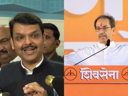 Smart people don't react on 'Shimgya', Devendra Fadnavis scolds Uddhav Thackeray | सुज्ञ लोकं 'शिमग्यावर' प्रतिक्रिया देत नाहीत, फडणवीसांनी उद्धव ठाकरेंना डिवचलं