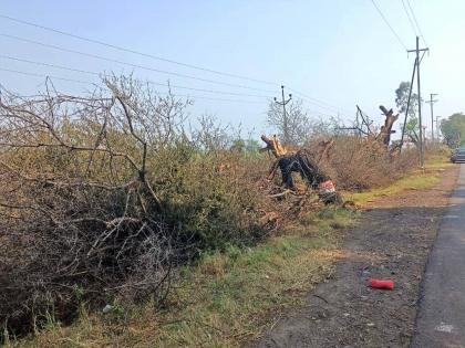 Tree downed power line on highway: Action sought against contractor | महामर्गावरील वृक्ष तोडून टाकली विद्युत वाहिनी; ठेकेदारावर कारवाईची माणगी