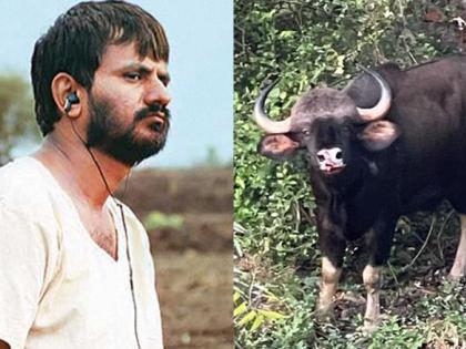 The director girish kulkarni of 'Bull' expressed his anger after the death of Rangavya | रानगव्याच्या मृत्यूनंतर 'वळू'च्या दिग्दर्शकानं व्यक्त केला संताप 