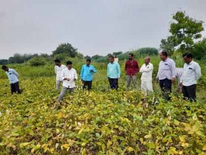 The village became famous in the state and won awards for soybeans | बचतीचा मंत्र... गाव राज्यात गाजलं अन् सोयाबीननं मिळवून दिला पुरस्कार