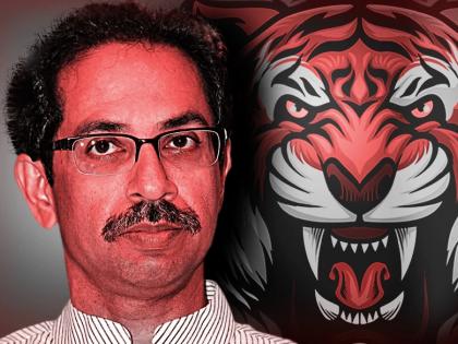 CM refuses to sterilize tigers | वाघांच्या नसबंदीस मुख्यमंत्र्यांचा नकार