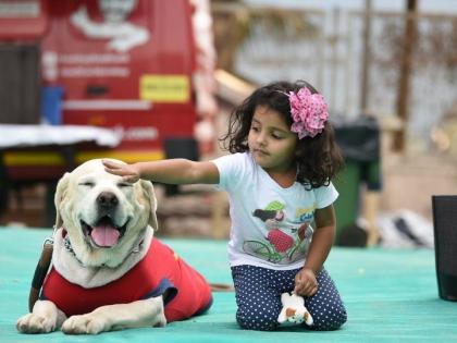 Sports competitions and fashion shows for dogs, 2 days pet Festival in Thane | श्वानांसाठी खेळांच्या स्पर्धा व फॅशन शो, ठाण्यात २ दिवसीय पेट फेस्टीव्हल