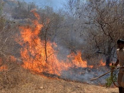 Alas! An old man who went to extinguish wildfire died in a panic in ratnagiri | दुर्दैवी ! काजुच्या बागेत वणवा विझविण्यासाठी गेलेल्या वृद्धाचा होरपळून मृत्यू