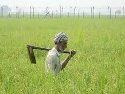  Banks ready to provide loans to farmers for kharif; Total debt of Rs 167 crore | शेतकऱ्यांना खरिपासाठी कर्जपुरवठ्यास बँका तयार; १६७ कोटींचे एकूण कर्ज