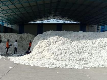 Five cotton purchasing centers closed | पाच कापूस खरेदी केंद्रे बंद