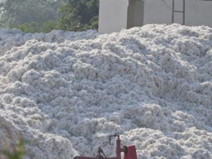 CCI will open more cotton procurement centers in the district | सीसीआय चे जिल्ह्यतआणखी कापूस खरेदी केंद्र सुरू होणार