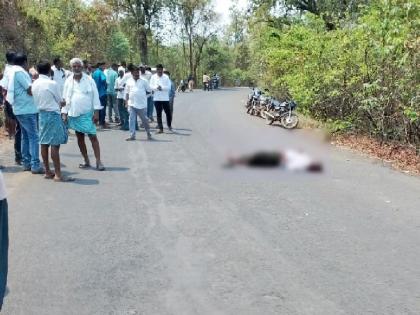 man killed in a bike accident on sironcha route | नवशिकेपणा आला अंगलट; दुचाकी अपघातात इसम ठार